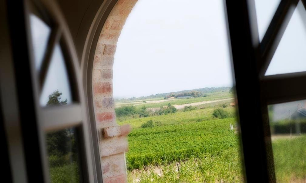 Domaine De La Soucherie - Chambres D'Hotes Beaulieu-sur-Layon Dış mekan fotoğraf