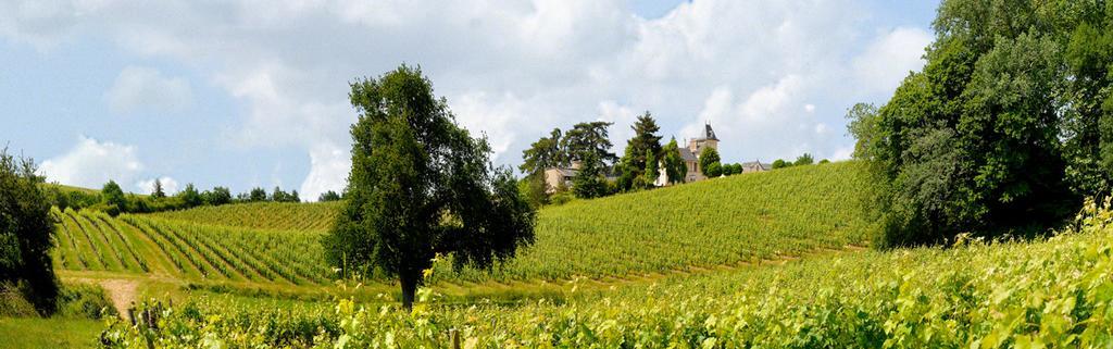Domaine De La Soucherie - Chambres D'Hotes Beaulieu-sur-Layon Dış mekan fotoğraf