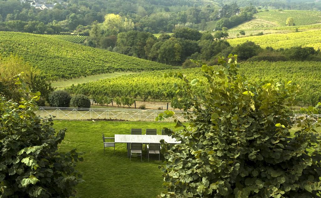 Domaine De La Soucherie - Chambres D'Hotes Beaulieu-sur-Layon Dış mekan fotoğraf