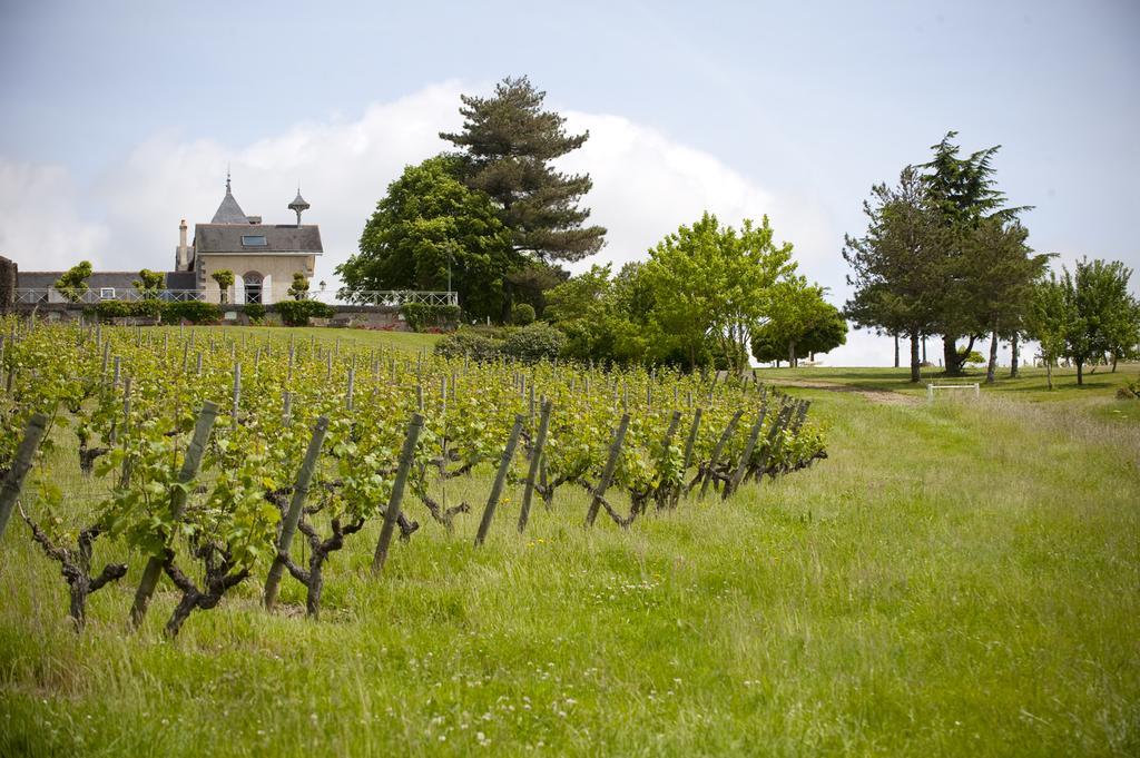 Domaine De La Soucherie - Chambres D'Hotes Beaulieu-sur-Layon Dış mekan fotoğraf