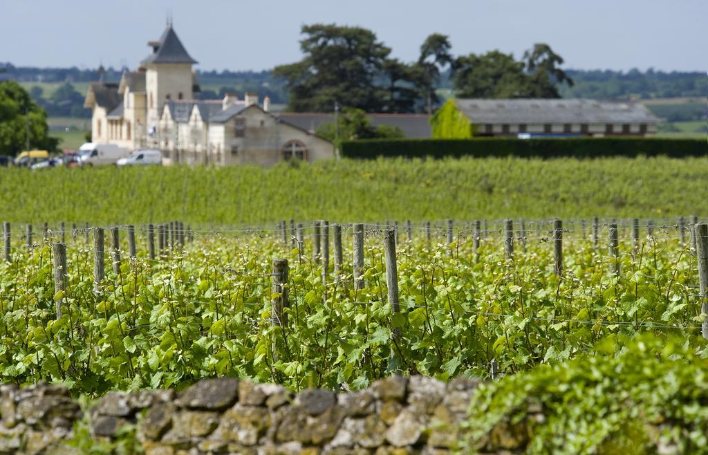 Domaine De La Soucherie - Chambres D'Hotes Beaulieu-sur-Layon Dış mekan fotoğraf
