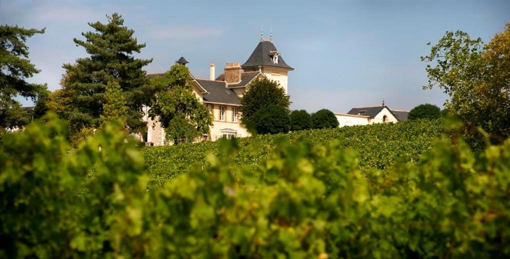 Domaine De La Soucherie - Chambres D'Hotes Beaulieu-sur-Layon Dış mekan fotoğraf